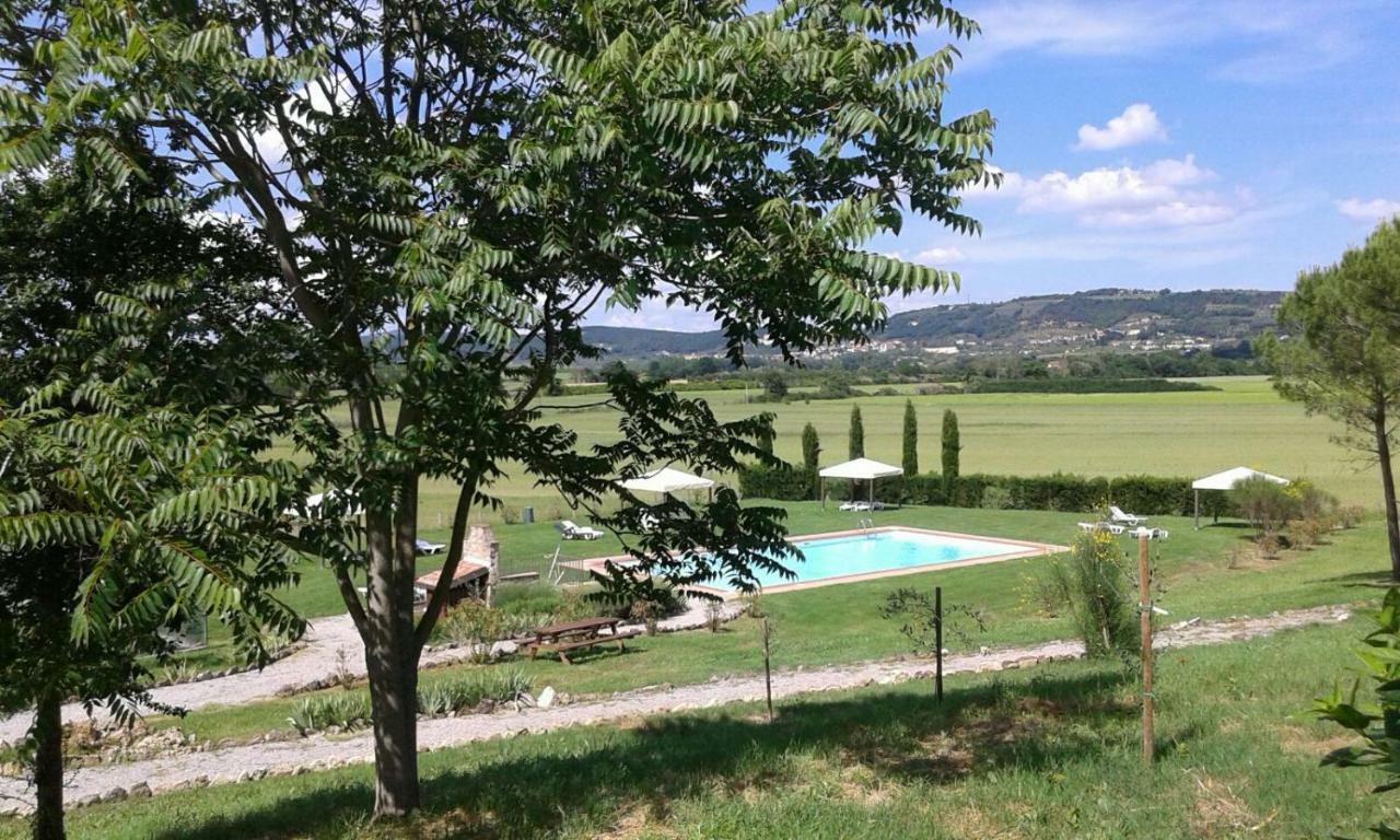 Casa Country House Girasole Vakantie Huis-Wakacje Huis Asciano Exterior foto